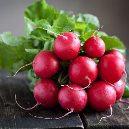 Comet, Radish Seeds image number null